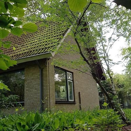 Vechtdalhuisje 17 Ommen Luaran gambar