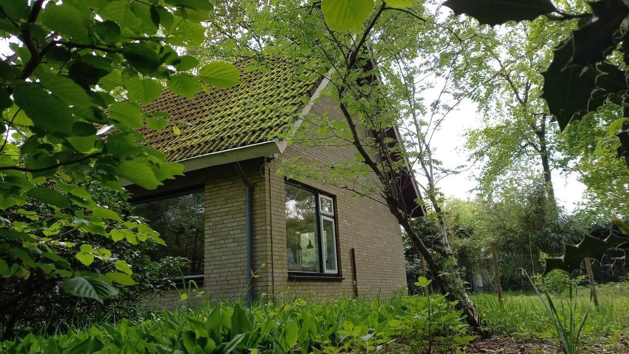 Vechtdalhuisje 17 Ommen Luaran gambar